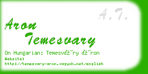 aron temesvary business card